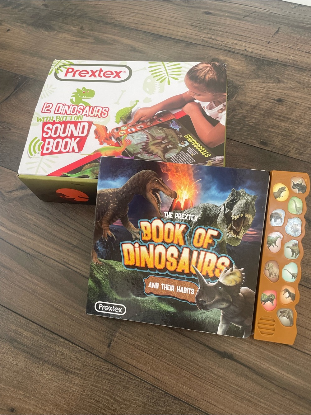 Book of Dinosaurs Sound Book